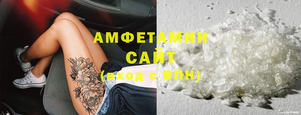 индика Иннополис