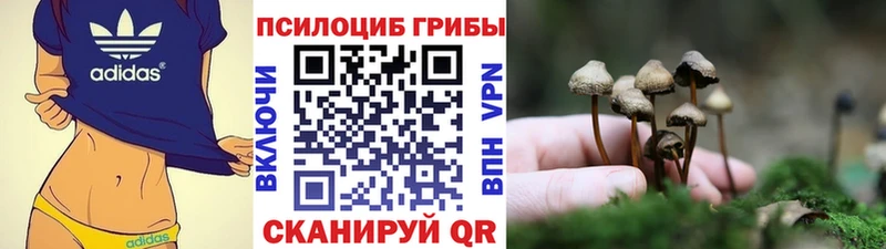 кракен онион  цена   Назарово  Галлюциногенные грибы ЛСД 