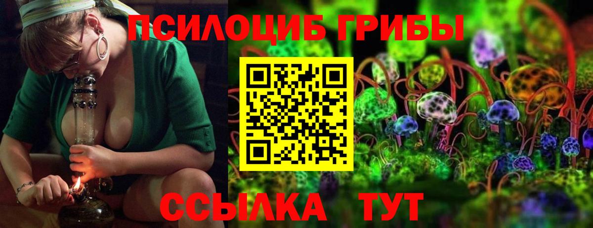 Галлюциногенные грибы Cubensis Назарово