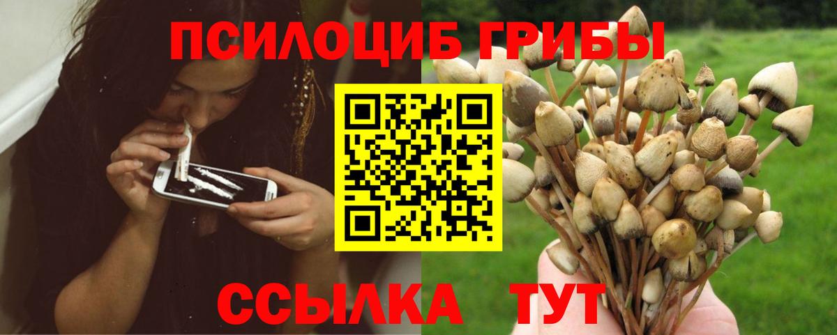 Назарово  Галлюциногенные грибы GOLDEN TEACHER  Вход с VPN 